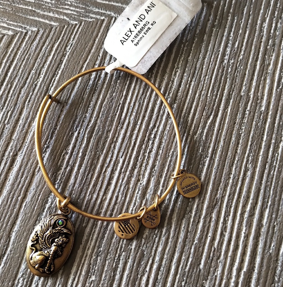Alex and Ani Sphinx Charm Bracelet - Picture 5 of 7